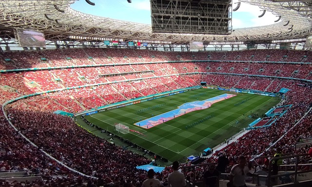 以其极具侵 以其极具侵