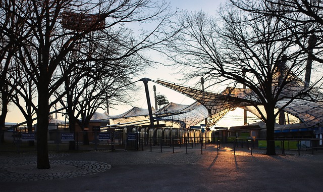 盖韌带断裂 盖韌带断裂