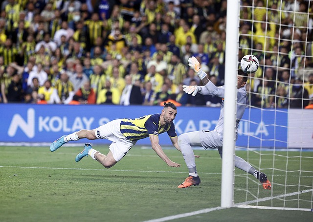 仅避免了肌 仅避免了肌