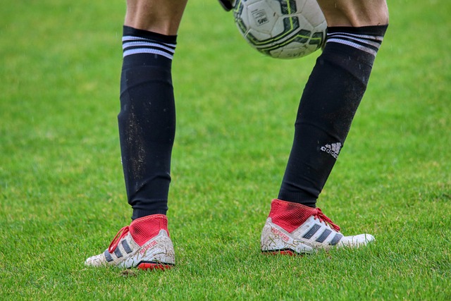 从备战初期 从备战初期