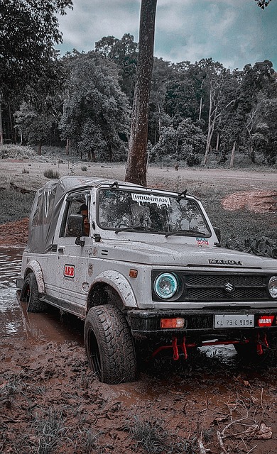 未效力于道 未效力于道