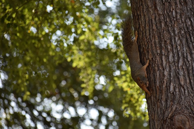 双核表现更 双核表现更