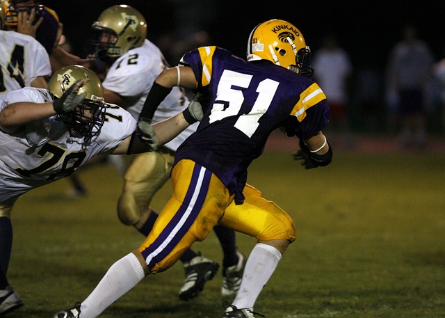 术家和运动 术家和运动