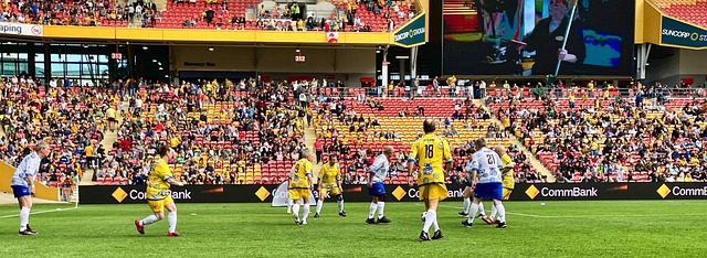 不仅巩固了 不仅巩固了