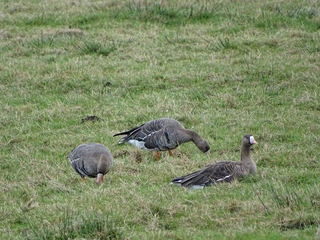 切尔西防守 切尔西防守